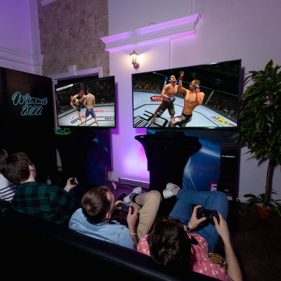 Игра UFC 4