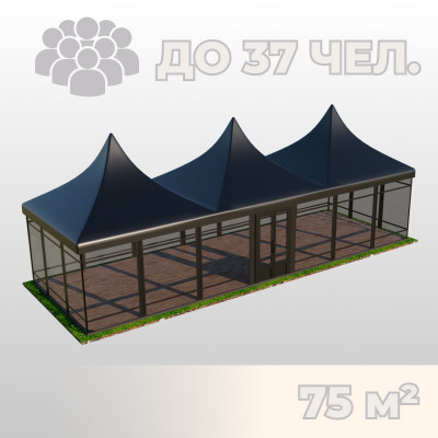Аренда черного шатра Пагода 5х15 м остекленного!