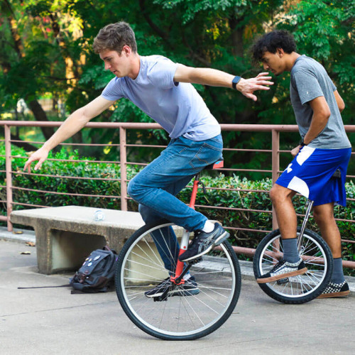Уницикл