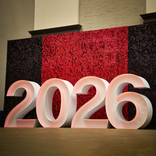 Фотозона 2026 с пайетками