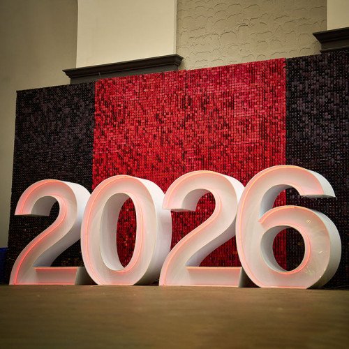 Фотозона 2026 с пайетками