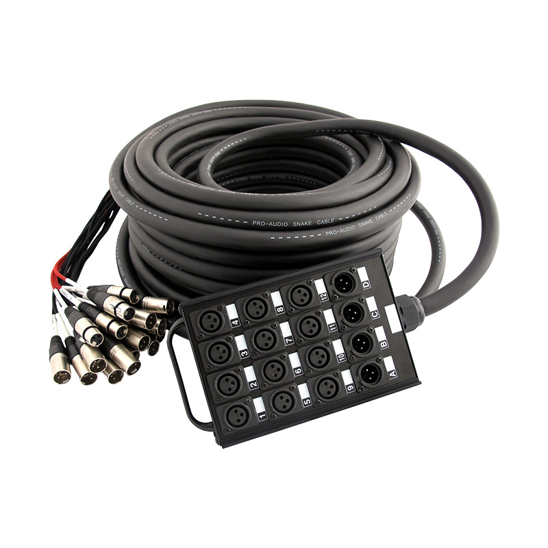 Мультикабель Pro Audio Pro-Stage Station CC-24