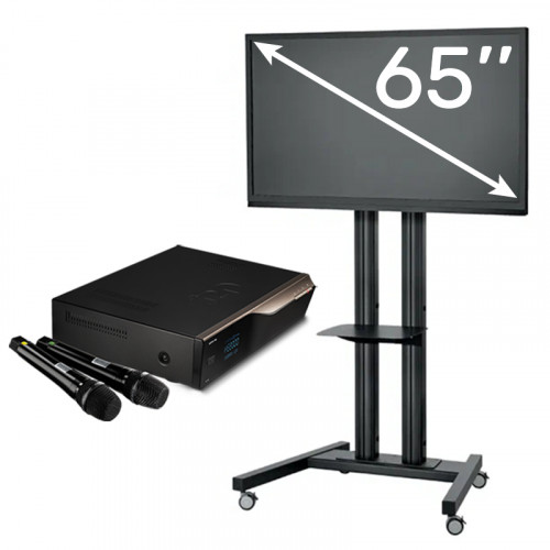 Караоке с плазмой 65''
