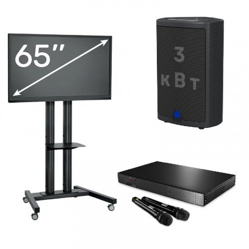 Караоке с плазмой 65'' и колонкой 3 кВт
