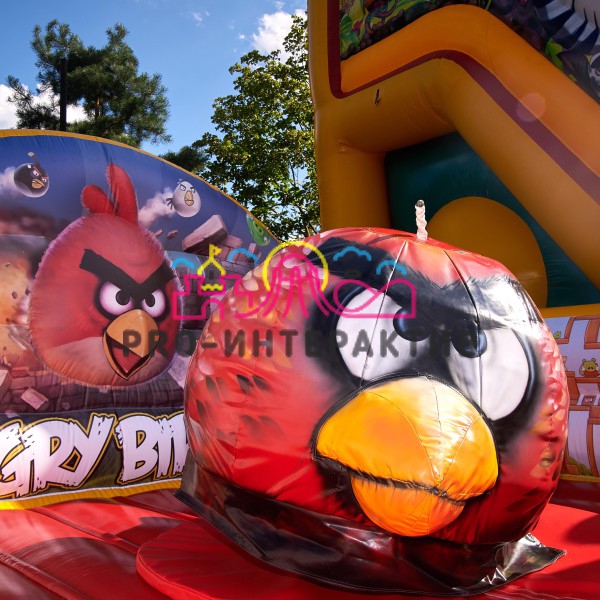 Родео "Angry Birds"
