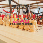 Шахматы парковые для интеллектуальных игр на мероприятии